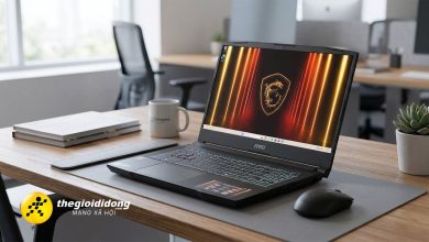Laptop trở thành trạm học mini cho người trẻ tuổi